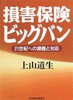 損害保険ビッグバン